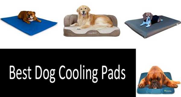 10 mejores almohadillas de enfriamiento para perros | Ciencia de enfriamiento explicada