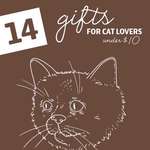14 geschenken voor kattenliefhebbers onder de $ 10