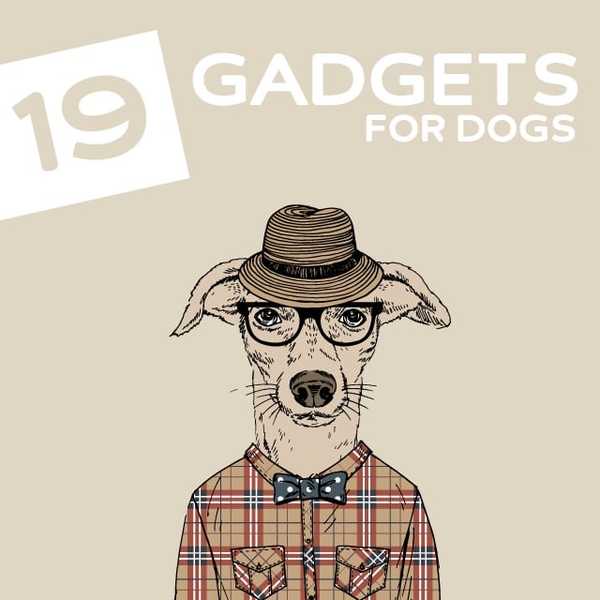 19 fantastici gadget e gadget per cani