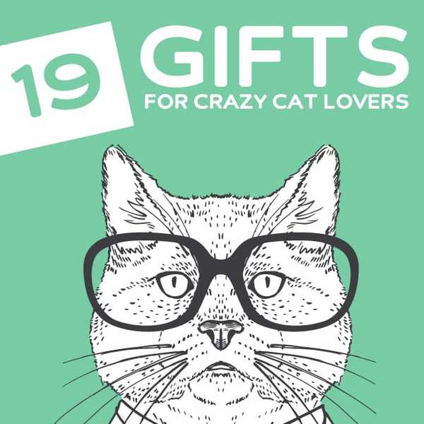 19 regalos divertidos para los amantes de los gatos (Crazy Cat Ladies)