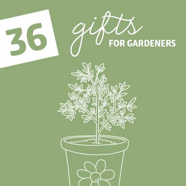 36 cadeaux pour les jardiniers avec le pouce vert