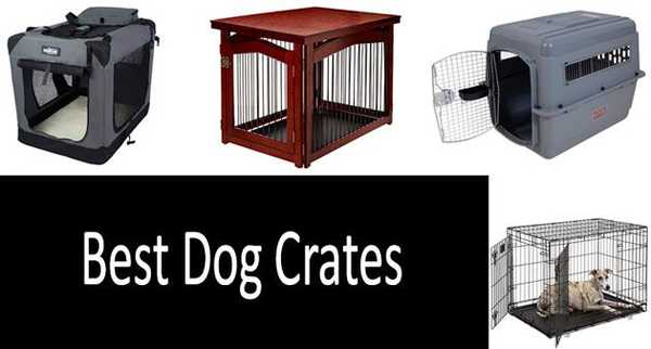 5 mejores cajas para perros | Revisión de las jaulas para perros más cómodas