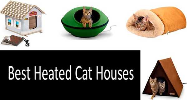 5 melhores casas de gatos aquecidos | Proteja seus gatinhos dos invernos rigorosos