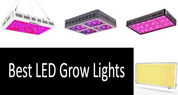 5 cele mai bune lumini de creștere a LED-urilor