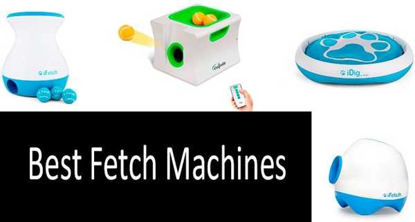 6 Best Fetch Machines - Lançadores de bolas automáticos