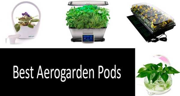 Les pods Aerogarden valent-ils la peine d'être achetés? | Comment faire pousser un jardin intérieur | Guide d'information par maître jardinier certifié