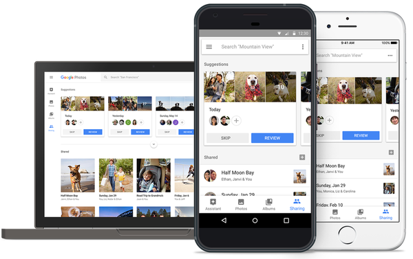 Google Photos lanza álbumes, álbumes de fotos y sugerencias para compartir automáticamente seleccionados