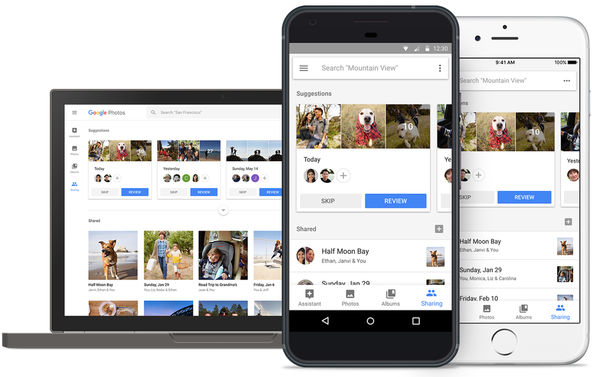 Google Photos meluncurkan album, buku foto & saran berbagi yang dikuratori secara otomatis