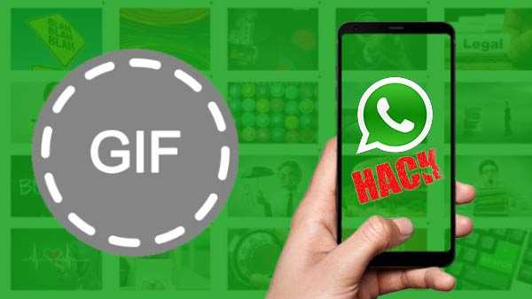 GIF Berbahaya Di WhatsApp Dapat Meretas Galeri Telepon Anda Begini caranya