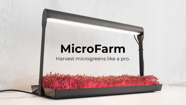 Microfarm. Harvest Microgreens Like a Pro