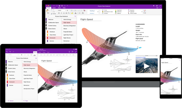 Microsoft actualise les applications OneNote avec de nouvelles fonctionnalités de conception et d'accessibilité