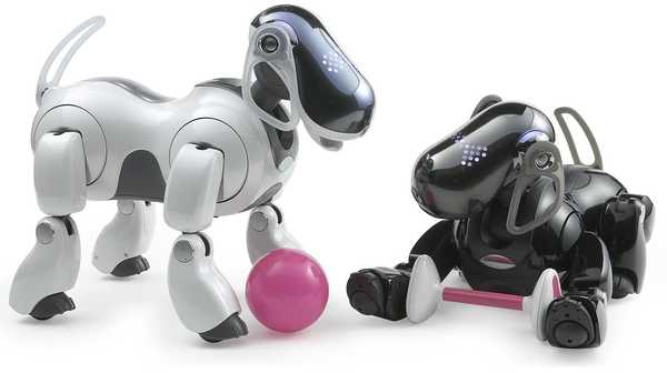 Sony soll nächsten Monat einen brandneuen Aibo-ähnlichen Roboter-Welpen vorstellen