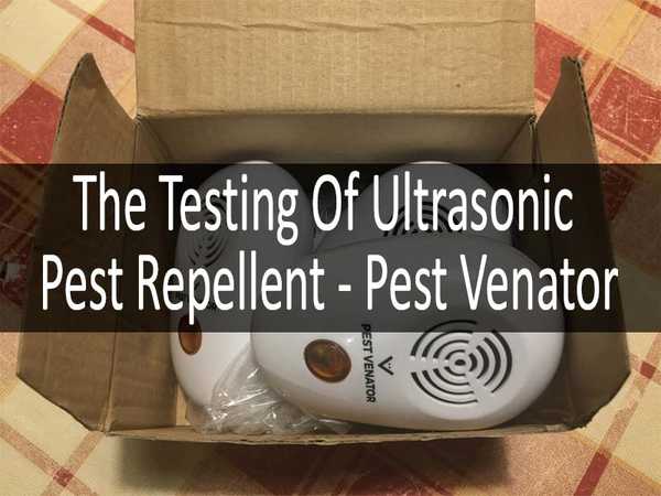 Le test du répulsif à ultrasons | Pest Venator