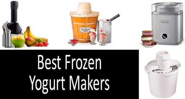 TOP-6 Mejores fabricantes de yogurt congelado