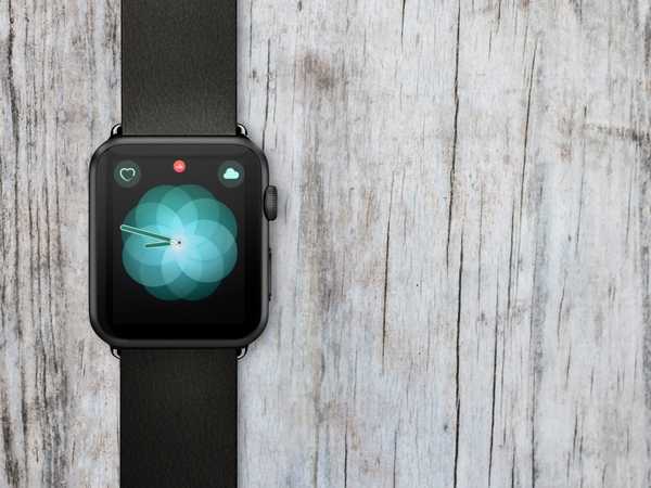 Apple slipper watchOS 5 for Apple Watch