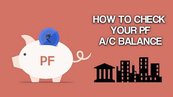 Cum să verificați soldul contului dvs. PF urmând pași simpli