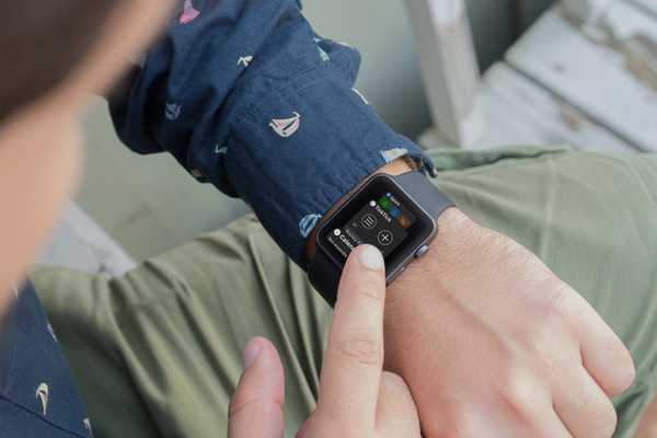 Cómo organizar su Apple Watch Dock para obtener la máxima productividad