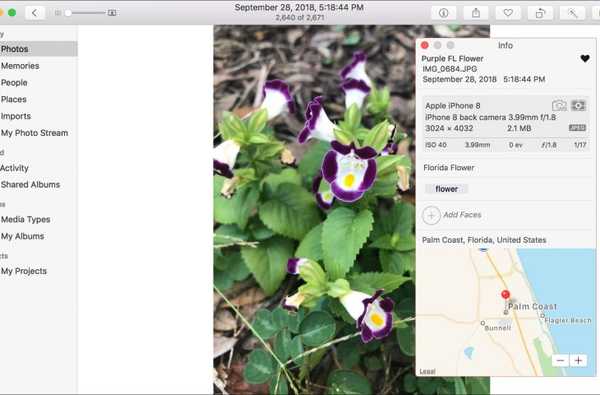 Come visualizzare i metadati delle foto in Foto per Mac