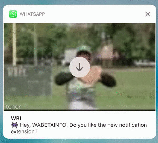 WhatsApp pour obtenir des aperçus multimédias complets dans les notifications iOS, y compris les GIF animés