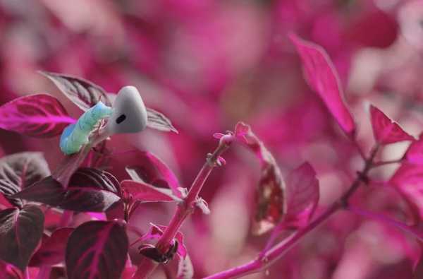 AirPod tidak dibuat, mereka tumbuh seperti tanaman. Tunggu. Apa?