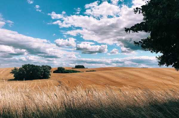 Apple tillkännager vinnare av Shot on iPhone-tävlingen