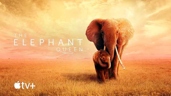 Apple comparte tráiler oficial de 'The Elephant Queen' para Apple TV +