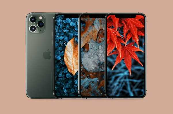 Fonds d'écran de feuilles d'automne colorées pour iPhone