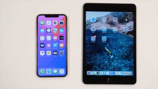 Video pratico iPad mini e iPhone XS Max in che modo le differenze di dimensioni dello schermo influenzano l'usabilità