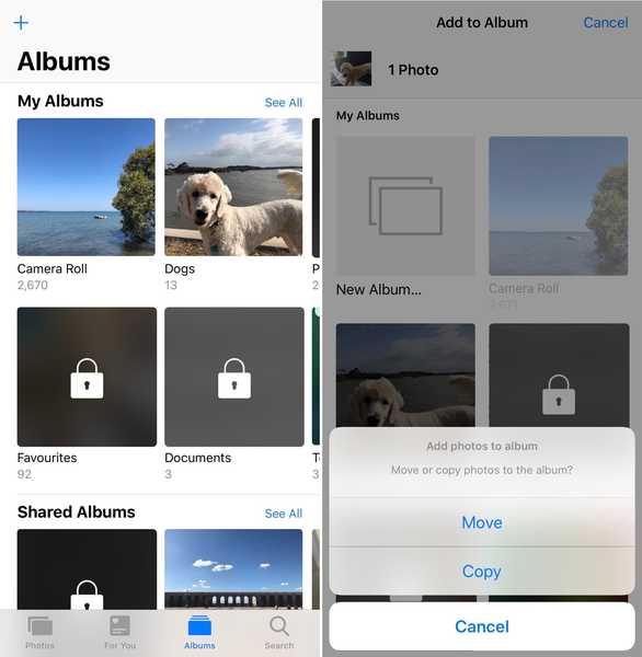Desbloquee todo el potencial de la aplicación de fotos nativa de su iPhone con PhotoManager