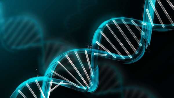 Angajații Apple pot acum accesa proiecții genetice gratuite