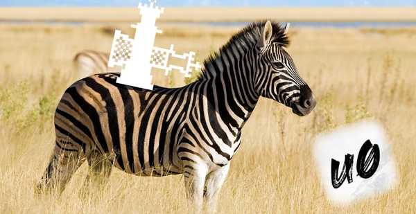 Come installare Zebra sul tuo dispositivo jailbreak